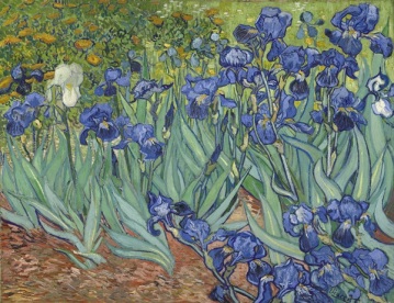 Van-Gough-Irises.jpg